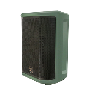 Dual 8 Inch Green Portable Speaker Guitar Speaker for Instrument Live Speaker