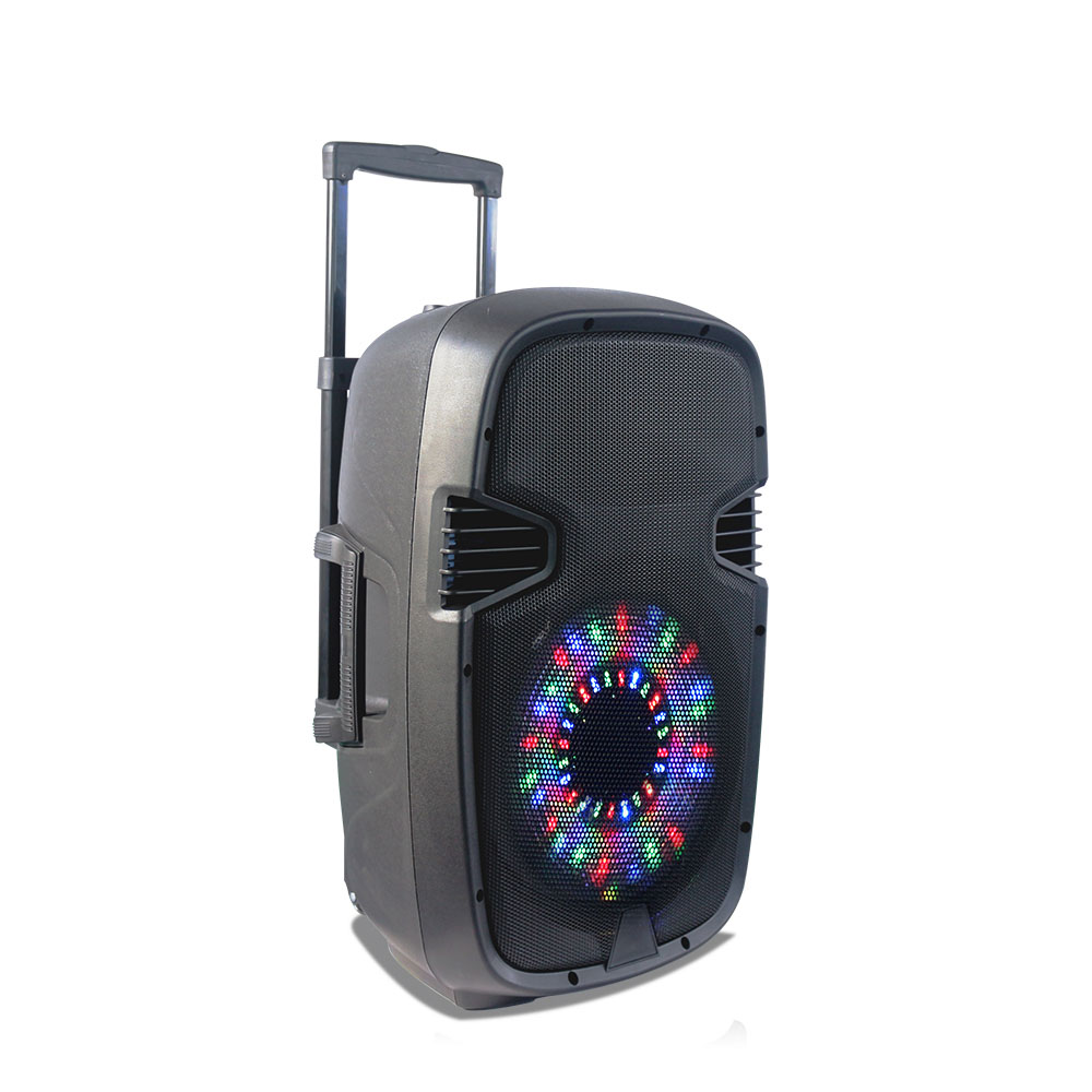 12 Inch Party Sound Box Pa Wireless Outdoor Large Speaker