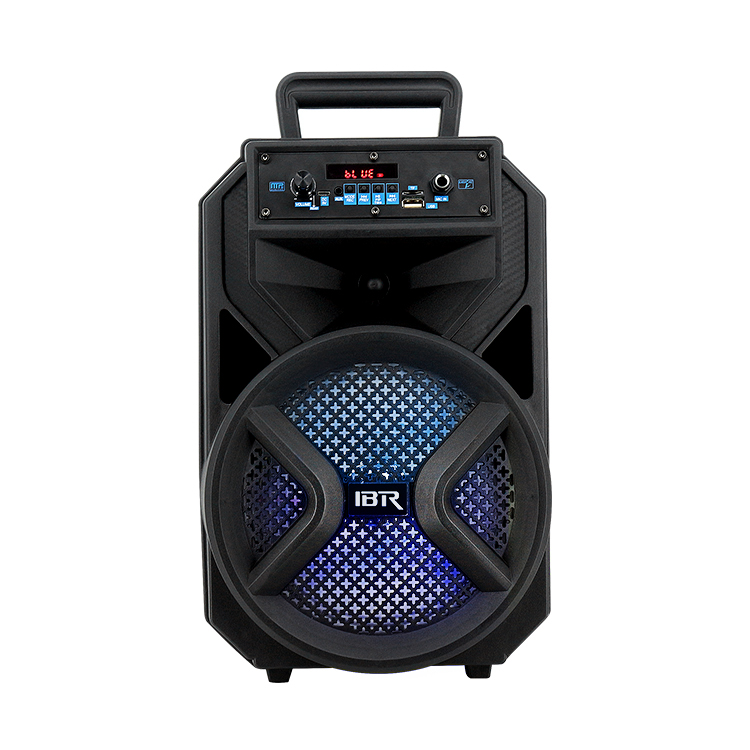 Small 8 inch 30w led light plastic speaker with trolley