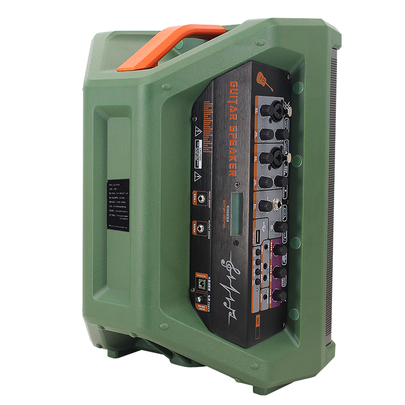 Dual 8 Inch Green Portable Speaker Guitar AMP Speaker for Instrument Live Speaker