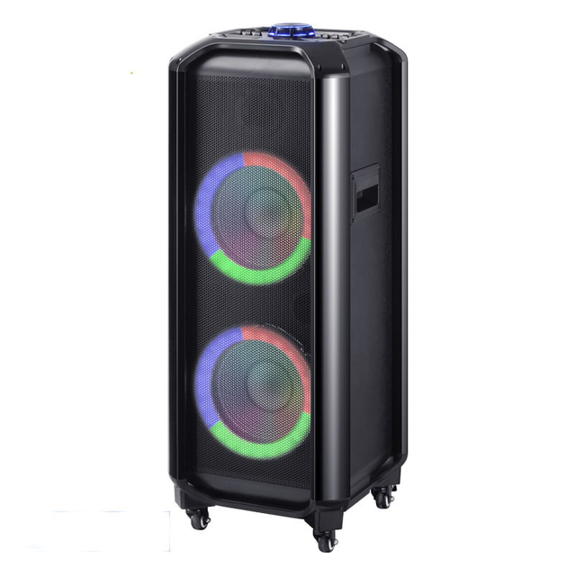 Dual 10 Inch Small Speaker with LED Light Ring