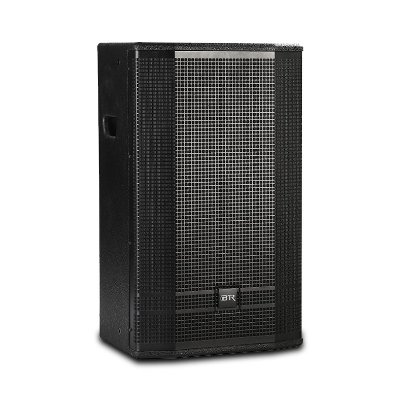 Big Power 12 Inch Pro Audio Speaker for Meeting 
