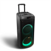 OEM hot sale dual 8 inch portable wireless party speaker with bluetooth QJ-5051