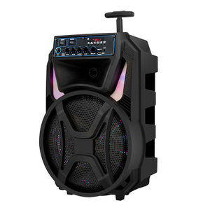 best products led lights 12 Inch bass outdoor trolley speaker 100w