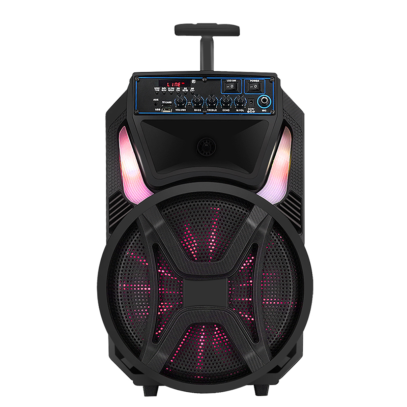 Popular Factory Cheap Price 12 Inch Party Karaoke Trolley Speaker 100w