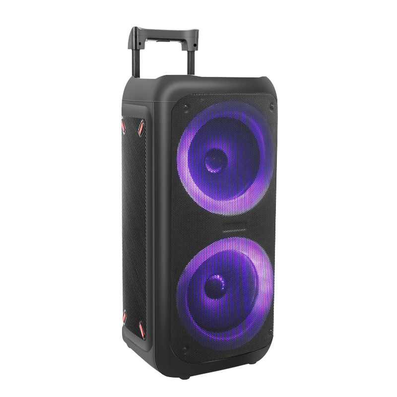 Private Mould New Design LED Light Bluetooth Dual 8 Inch 50W Speaker Trolley