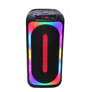 2022 TWS Dual 8 Inch Wireless BT Karaoke Portable PA PRO Rechargeable Speaker with Fashionable Disco LED Light