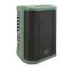 Dual 8 Inch Green Portable Speaker Guitar AMP Speaker for Instrument Live Speaker
