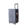 Optional Color Wooden 12 Inch Trolley Speaker for Party Cabinet