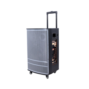 Optional Color Wooden 12 Inch Trolley Speaker for Party Cabinet