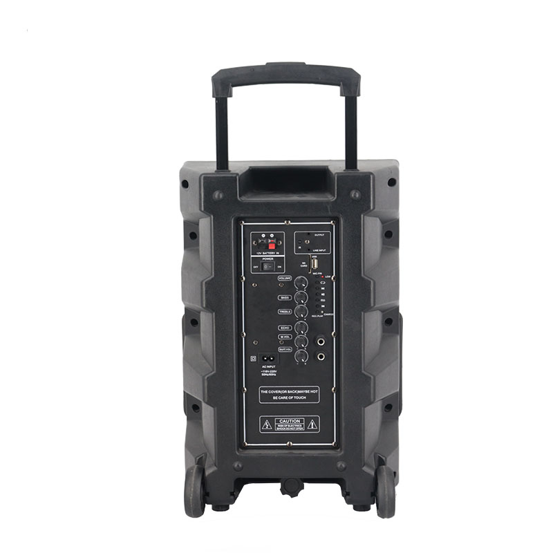 50W Black Portable Plastic Trolley Speaker with 12 Inch Woofer