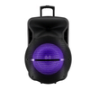 18 Inch Plastic Horn Speaker Portable Speaker with Sound Control And Led Light