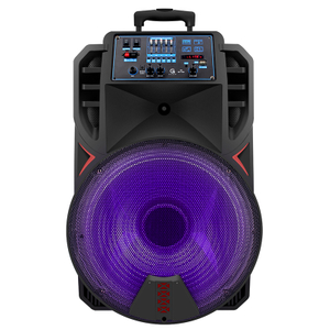 best price portable trolley led lights party karaoke bluetooth speaker system with wireless mic