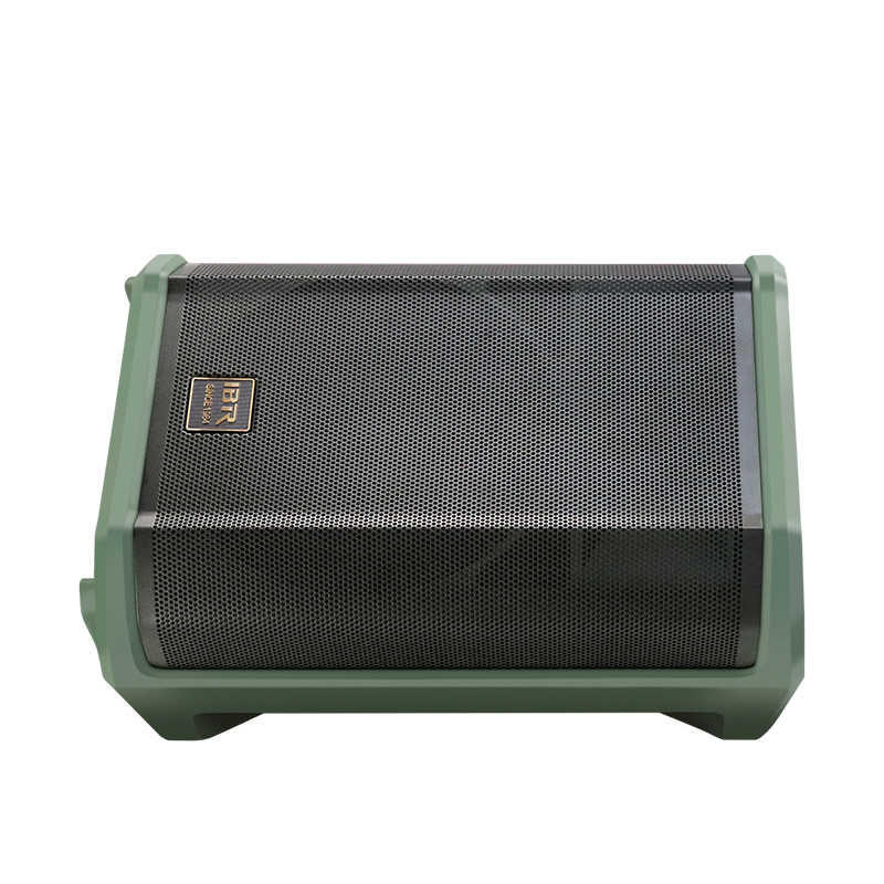 Dual 8 Inch green Portable Speaker Guitar Speaker for instrument live speaker