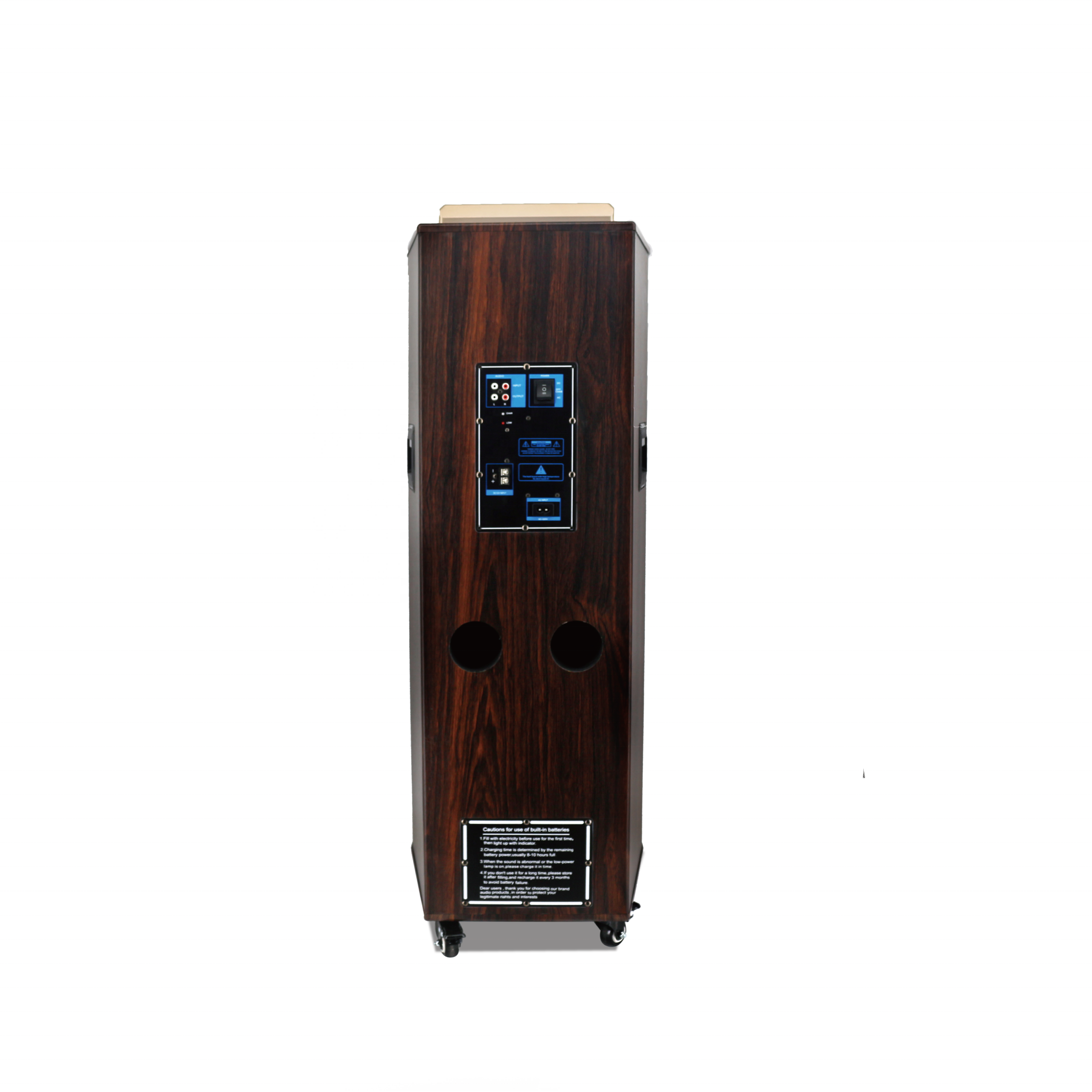 2020 New Design Dual 12 Inch 80 Watt Portable Speaker with Disco Light