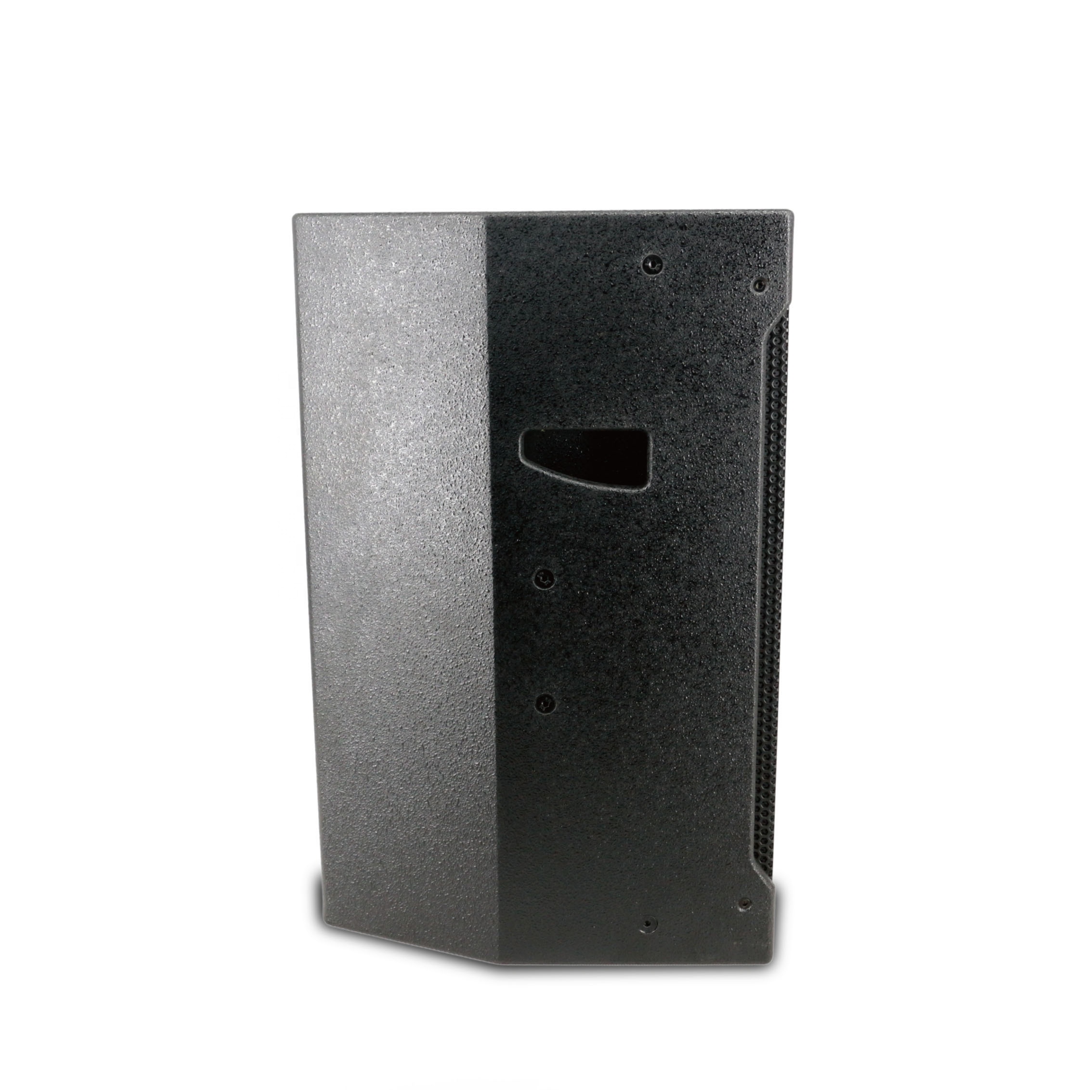 12 inch 300 Watt Pro Audio speaker for meeting room and stage