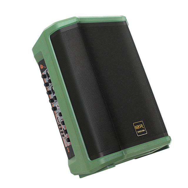 8 Inch green Portable Speaker Guitar Speaker for instrument live speaker
