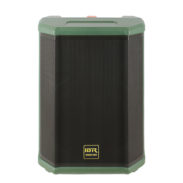 8 Inch Green Portable Speaker Guitar Speaker for Instrument Live Speaker