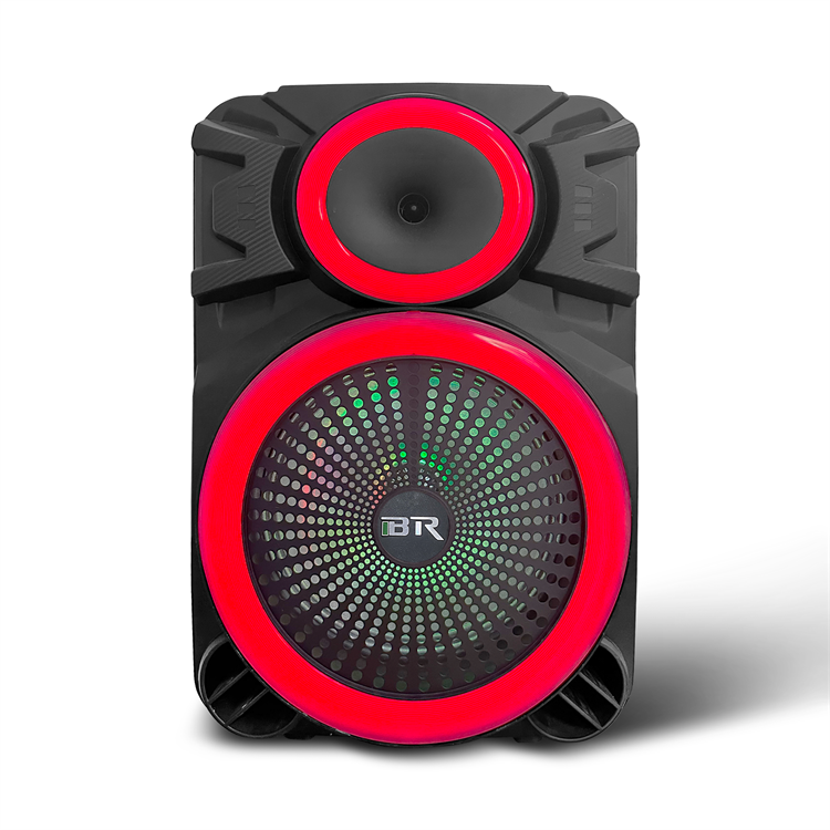 12" Woofer Outdoor Bluetooth Speaker QJ-2177 from manufacturer China