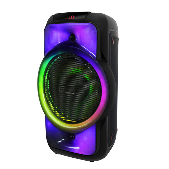 Unique design colorful led light dual 8 inch bluetooth portable karaoke speaker box