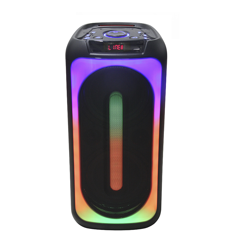 2022 TWS Dual 8 Inch Wireless BT Karaoke Portable PA PRO Rechargeable Speaker with Fashionable Disco LED Light