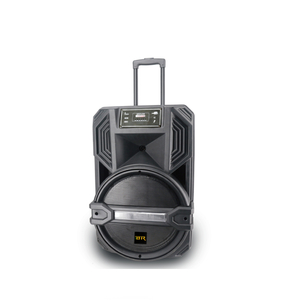15 Inch BT Speaker Wireless Sound System