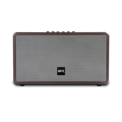 Bluetooth Live Speaker Dual Portable Speaker for Indoor Party