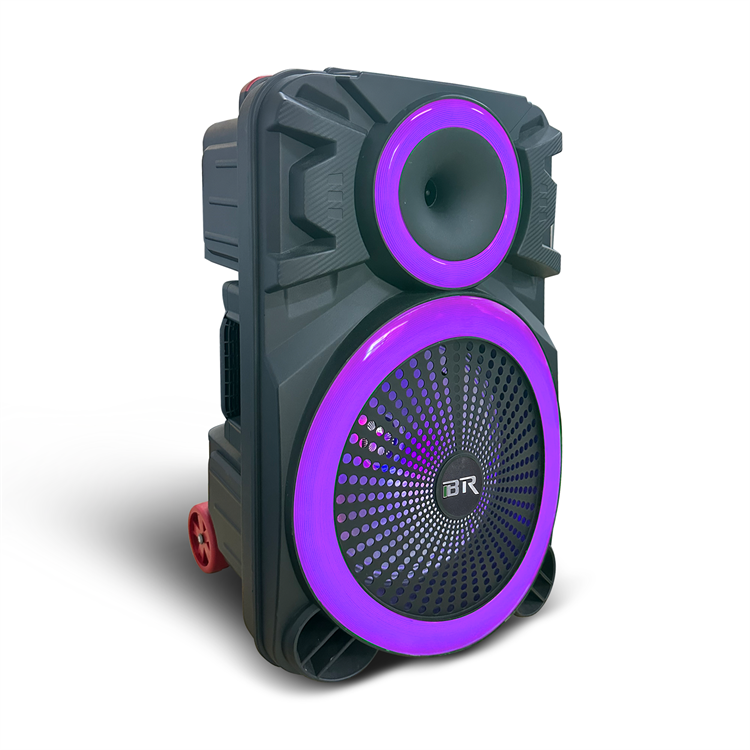 Professional Stage Plastic Full Range 4ch Mic Input Bluetooth Loud Speakers