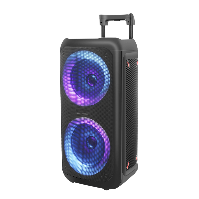 Private Mould New Design LED Light Bluetooth Dual 8 Inch 50W Speaker Trolley