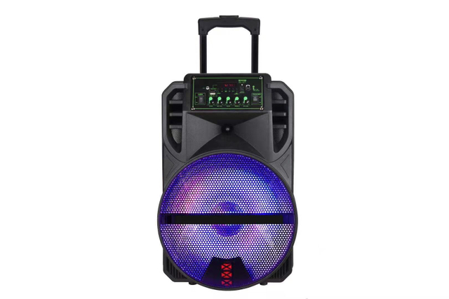 2020 Outdoor Cheap Hot Sale 100w Plastic Speaker with Trolley Led Light
